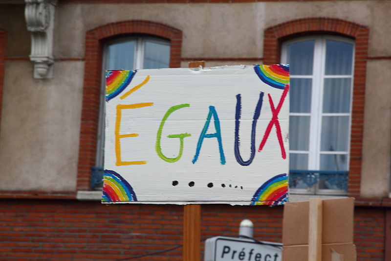 800px-Manifestation_mariage_pour_tous,_Toulouse_03