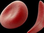 20140205_143523_jpg_dt_list