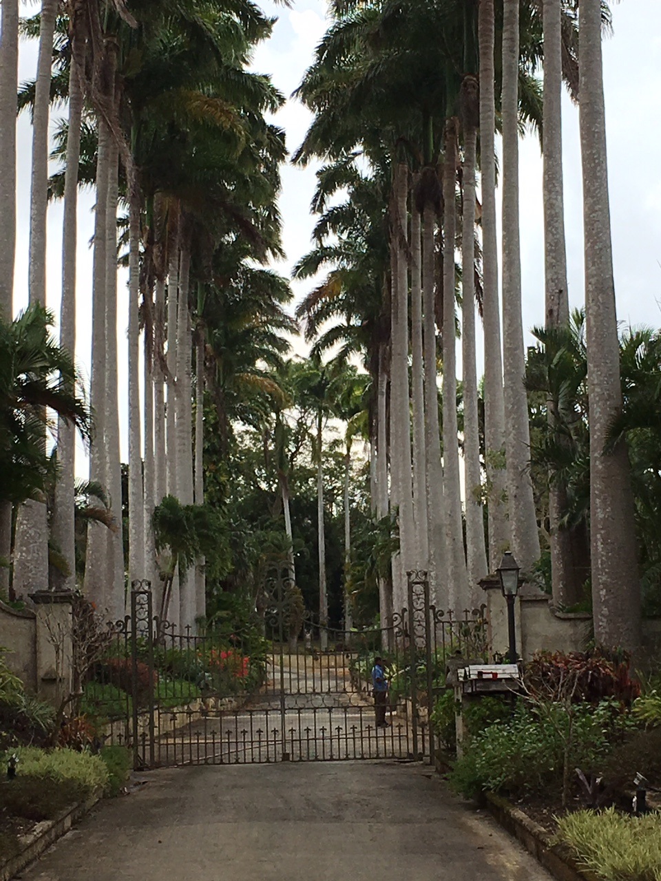 Small Allée du Manoir
