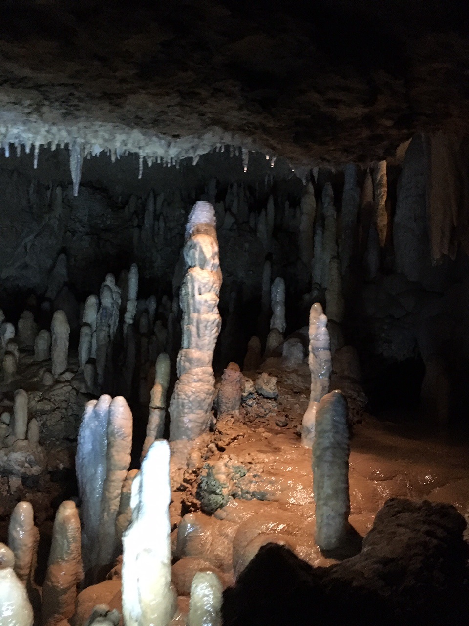 Les célèbres Harisson Graves avec stalactites et stalagmites