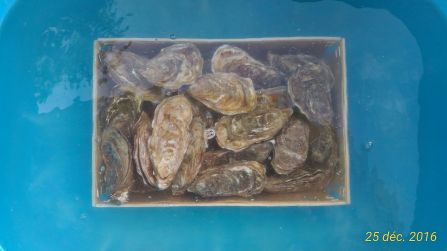 Dans un bain d'eau de mer !